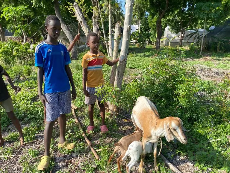 Brian in the garden with our goat mum and her twin kids